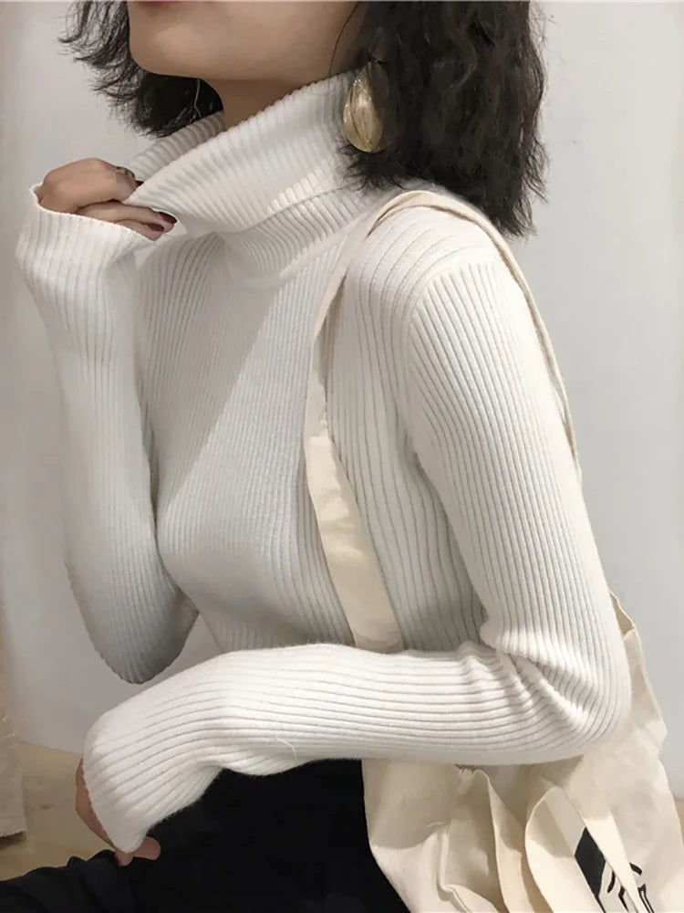 Women's Slim Turtleneck Knit Sweater - One Size, 14 Colors